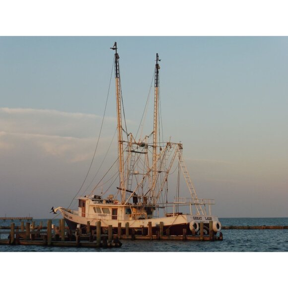 Panasonic Lumix DMC-ZS45 16MP Digital Camera 20x Optical Zoom HD Video WiFi 64GB - Picture 8 of 16